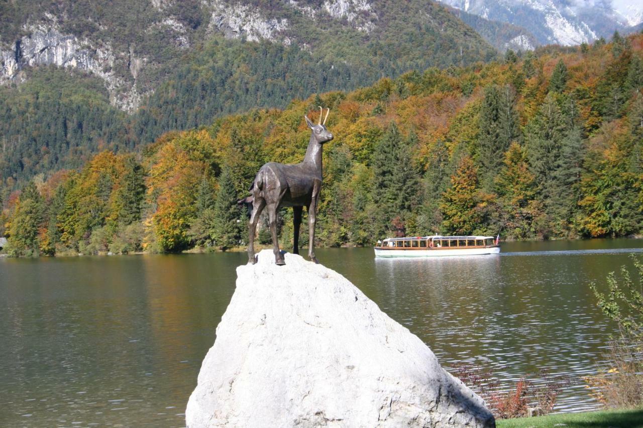 Apartment Ravnik Brod 13 Bohinj Buitenkant foto