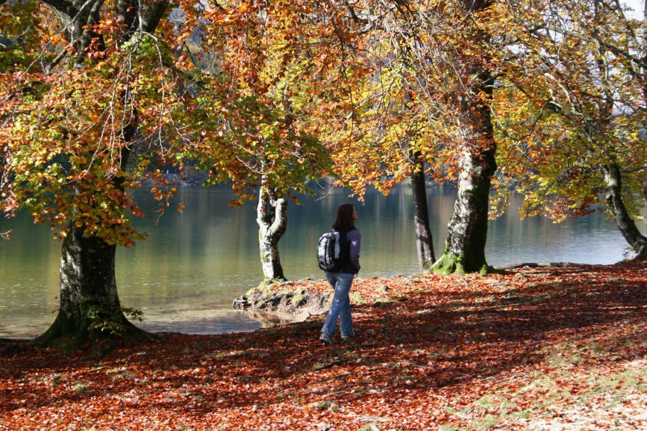 Apartment Ravnik Brod 13 Bohinj Buitenkant foto